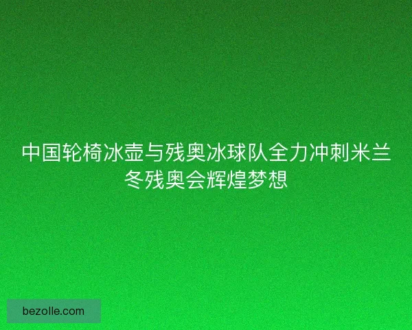 中国轮椅冰壶与残奥冰球队全力冲刺米兰冬残奥会辉煌梦想